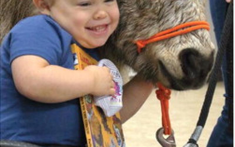 Agra first grader Allie Castor smiles big as she hugs Pete, one of the many horses cared for by The Right Path. Photo by Selah Ocker