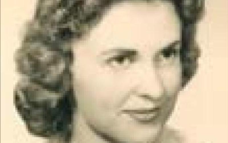 Janis Lee Williams