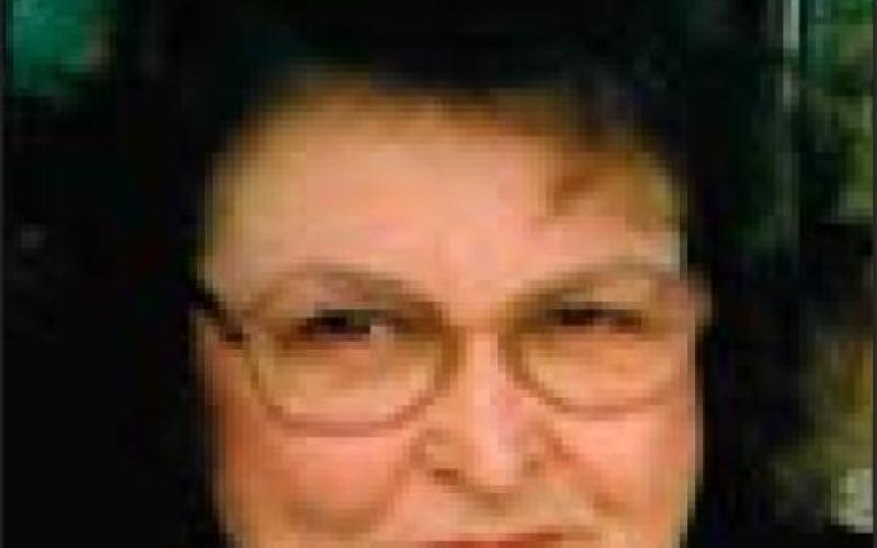 Janis Lee Williams