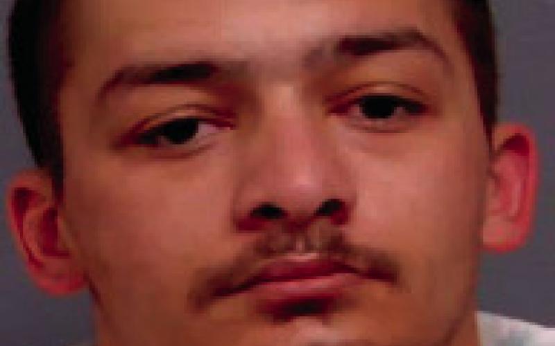 THOMAS COLLINS possession of paraphernalia receive, possess or conceal stolen property - protective order violation unauthorized use of vehicle