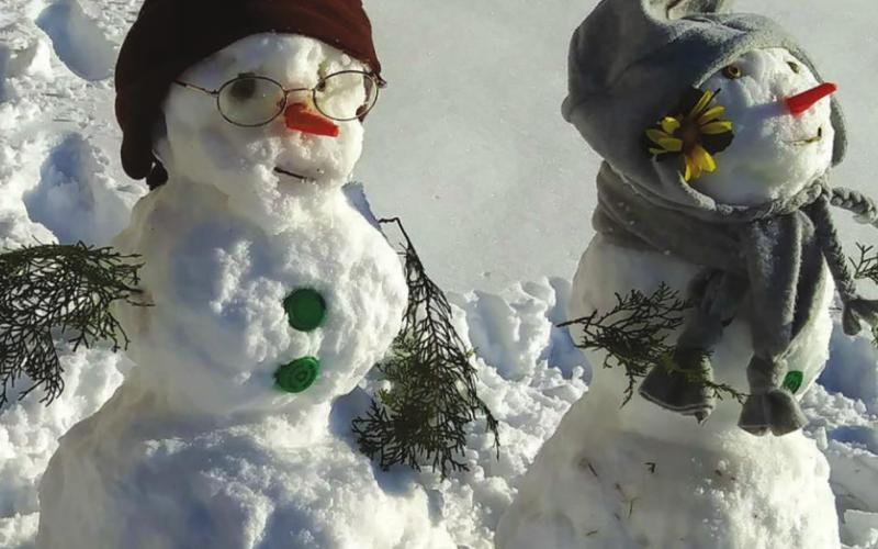 Snow Day!