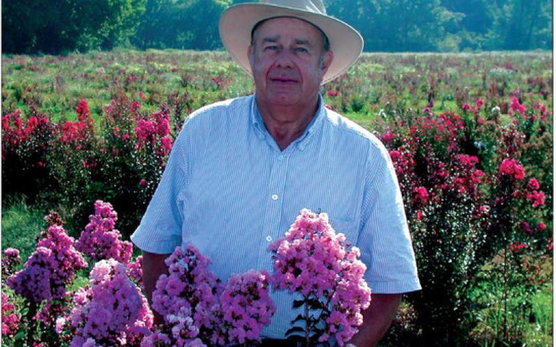 Carl Whitcomb, pictured next to his crape myrtle plant Rhapsody in Pink, said he's grateful for more time to experiment in the field and in life thanks to the life-saving efforts of the team at Stillwater Medical Center.