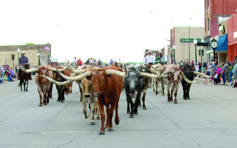 To the delight of the hundreds of people lining the streets, a herd of longhorns was driven through the Broadway District in downtown Cushing, Friday, to kick off the inaugural Turkey Track Ranch Round-up Rodeo held Saturday.