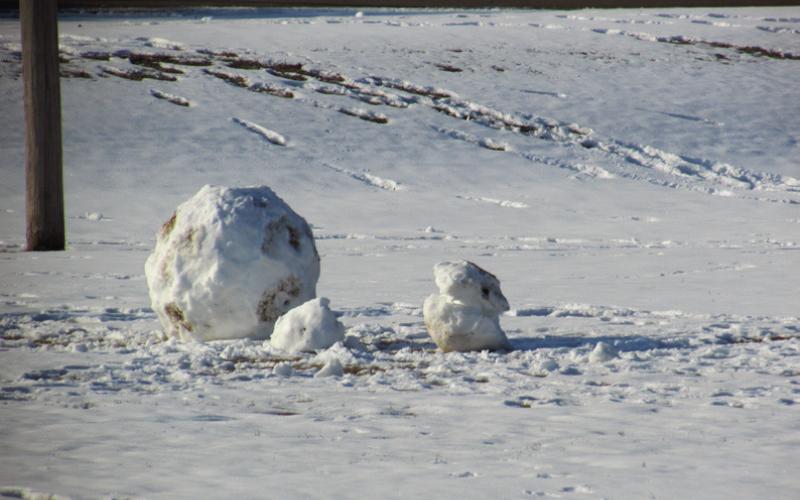 Time honored tradition of building snowmen