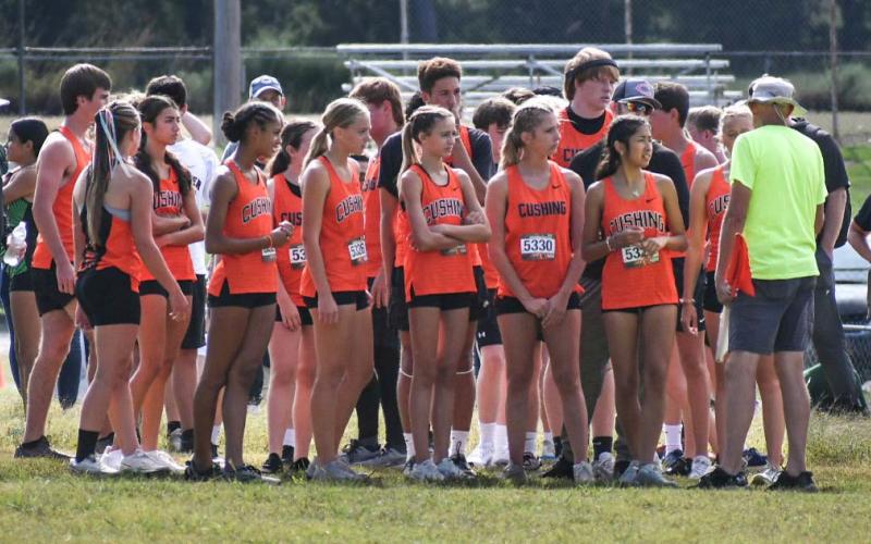 Tiger Cross Country