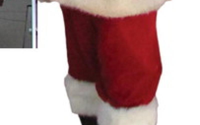 Alt Text for Image