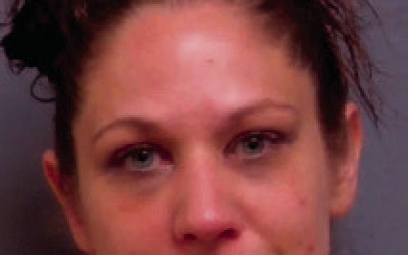 JENNIFER MARIE LOO Possession of a Controlled Substance (X2), Possession of Paraphernalia(X3), Driving with license Canceled/Suspended/ Revoked