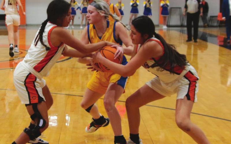 Lady Tigers Basketball