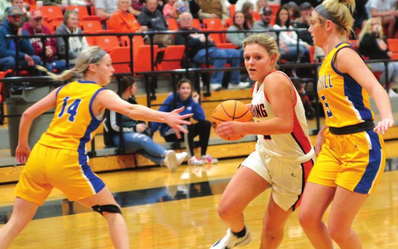 Lady Tigers Basketball