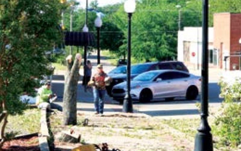 City workers remove Bradford pears from Harrison, Ave. Saturday. The trees were damaging city sidewalks and blocking sight lines to local businesses.