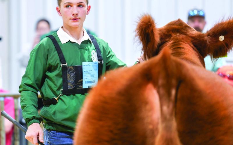 Braylee Dugat of Cimarron Valley 4-H poses with her Grand Champion market broiler sporting a tiny cowboy hat. Dugat earned first place and Grand Champion honors in the Market Broilers division and also had several placings in market goat and breeding doe classes. Photo by Meagan Stephens.