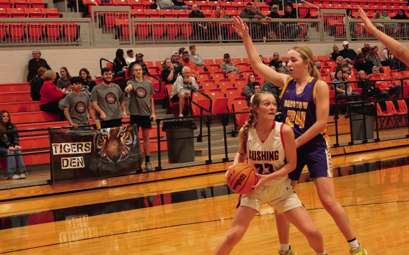 Kaitlyn Callanan scored six points and generated several turnovers against Bristow Friday. Photo by J. D. Meisner