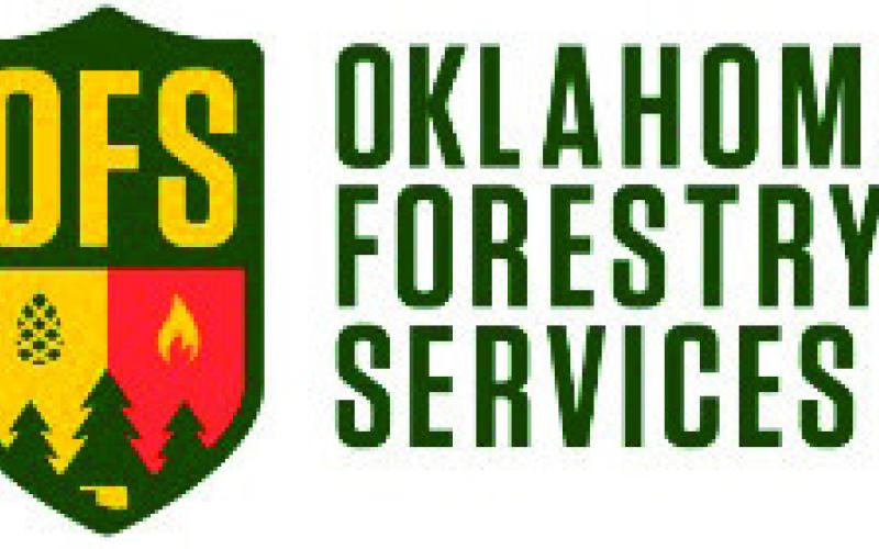 Fire Situation Report – March 4, 2024