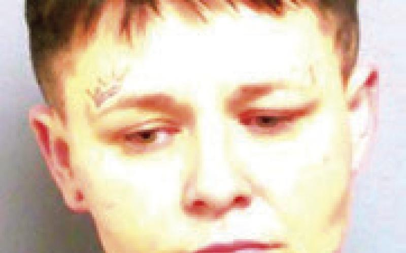 SUMMER BREE MCKINNEY — Unknown — Larceny of merchandise from retailer, carry or possess fi rearm by convicted felon