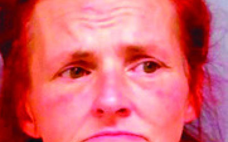 DEANA JOANN FAULKNER Stillwater — Trespassing after being forbidden, resisting executive offi cer, petit larceny