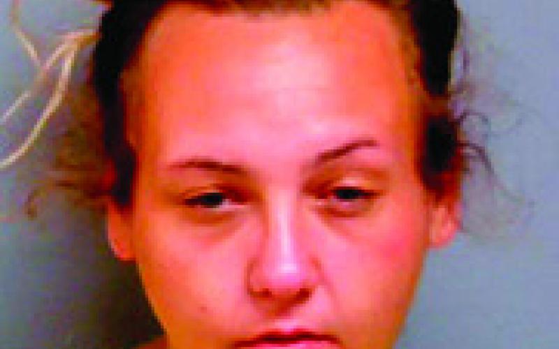 TRINITY PAIGE DAVID Larceny of merchandise from retailer, possession of controlled substance, possession of paraphernalia