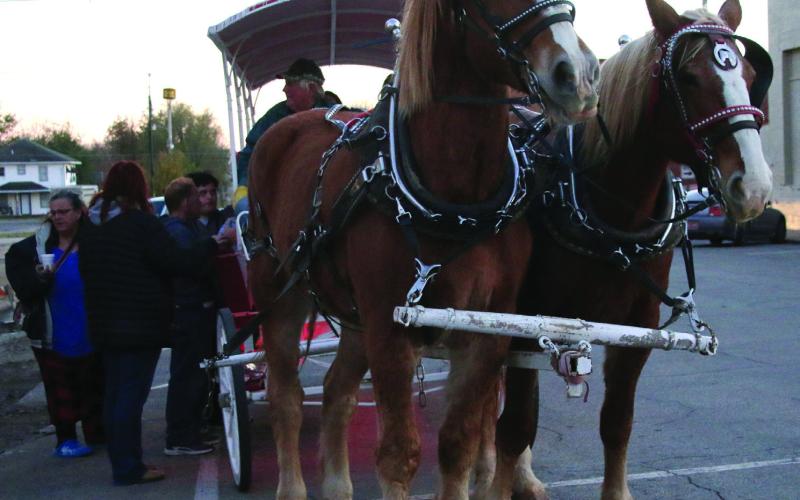 Buster and Thelma worked as a team to pull revelers around Cushing in their Christmas Carriage. The rides were presented by the Copper Penny. Photos by Allie Prater