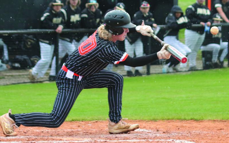 Tiger baseball headed to state tournament