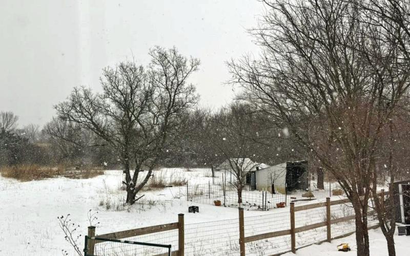 View From Hailey Peterson