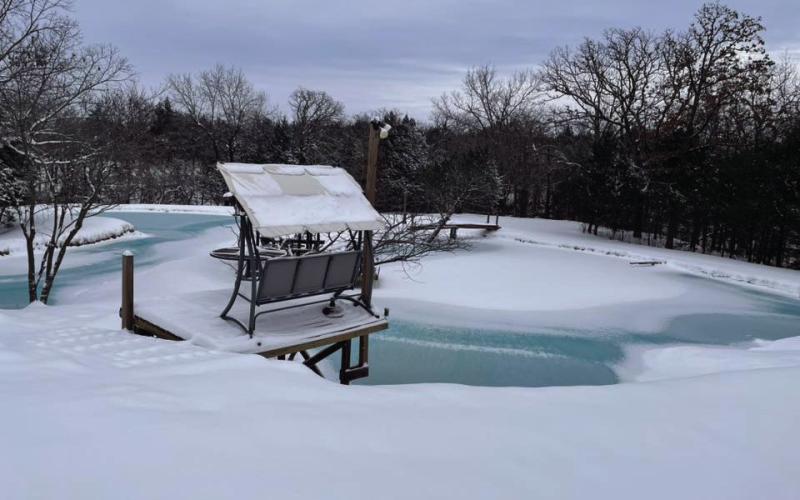 Frozen pond from Steven Holley