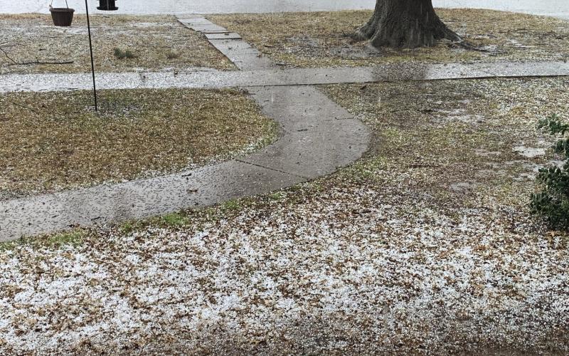 Hailstones blanket a Cushing front yard Sunday afternoon as a brief but intense storm cell rolled unexpectedly through the area, bringing a burst of hail, rain, and wind. Cushing Municipal Airport Manager Mike Middleton measured just under an inch of rain before the storm moved on. Photo by Jeremy Fincher.