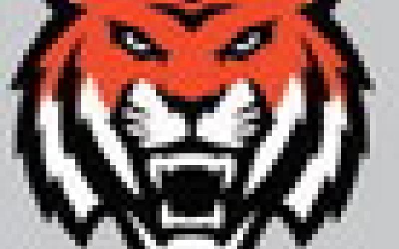 Area Basketball Schedules