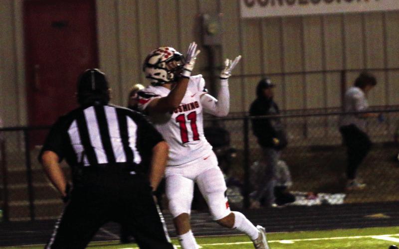 Junior Brady Matheson makes a touchdown catch against the Bulldogs last week.