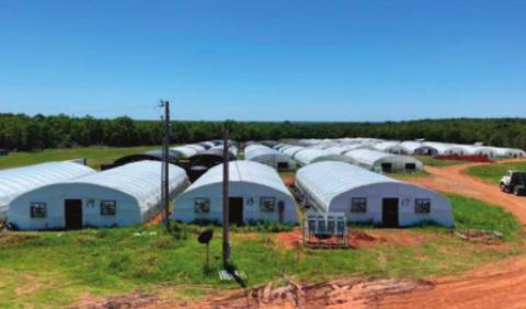 Illegal Grow Operation Busted in Lincoln County