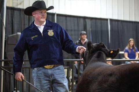 Dalton Hall of Ripley shows his heifer. Hall placed second in Maintainer Beef Heifer Class 2 and also had placings in Simmental Influence and Commercial Beef Heifer classes. Photo by Meagan Stephens.