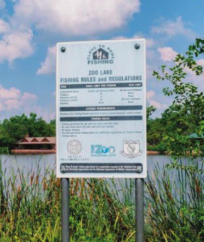 Close to Home waters offer opportunities for urban dwellers to share their fishing heritage with others. Anglers wanting to cast a line and save on time can find their new favorite Close to Home fishing spot.