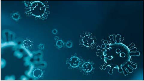 Coronavirus 101