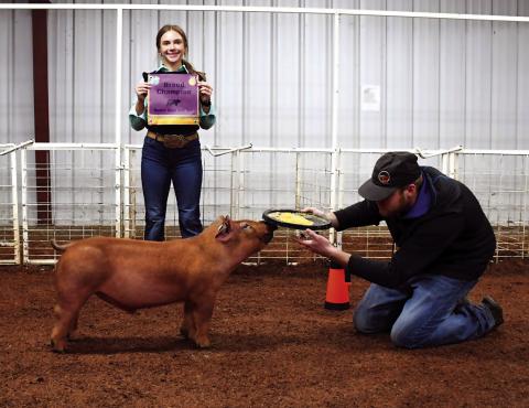 Three members of the Cushing FFA Swine Show Team traveled to Mannford for the first swine jackpot of the Season. Together, they came home with several first, second and third place ribbons in their respective classes. Junior Melannie Townes brought home Breed Champion with her Duroc. Photos by Sarah Townes.
