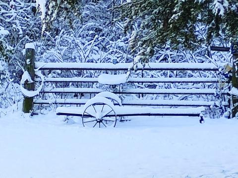 Snow blanketed Oklahoma last week. Cushing residents had reports of three to six inches of snow. Photo courtesy Etha Tinnie