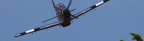 FLYING IN