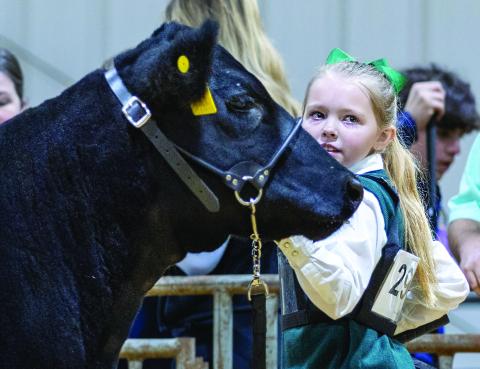 Laynie DeMuth of Perkins stands with her Angus heifer during a recent livestock show. DeMuth is a new junior member of the American Angus Association and participates in youth cattle programs and competitions across the region.