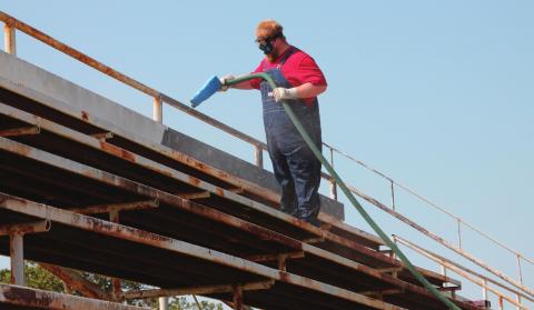 Yale paint days