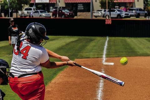 Photos by Sarah Townes