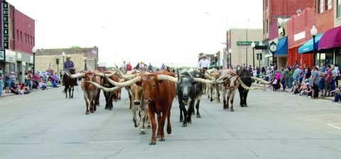 To the delight of the hundreds of people lining the streets, a herd of longhorns was driven through the Broadway District in downtown Cushing, Friday, to kick off the inaugural Turkey Track Ranch Round-up Rodeo held Saturday.