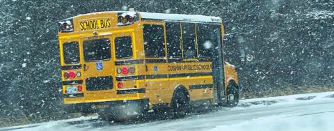 To school or not to school
