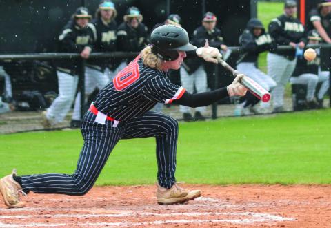 Tiger baseball headed to state tournament