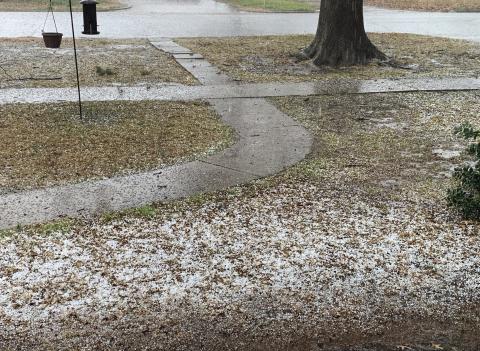 Hailstones blanket a Cushing front yard Sunday afternoon as a brief but intense storm cell rolled unexpectedly through the area, bringing a burst of hail, rain, and wind. Cushing Municipal Airport Manager Mike Middleton measured just under an inch of rain before the storm moved on. Photo by Jeremy Fincher.