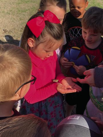 Isla Nugent gently cradles the recently transformed butterfly the Pre-K students at CPS were able to observe while learning about life cycles as one of the many hands-on projects the students participate in throughout the year.