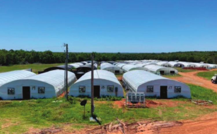 Illegal Grow Operation Busted in Lincoln County