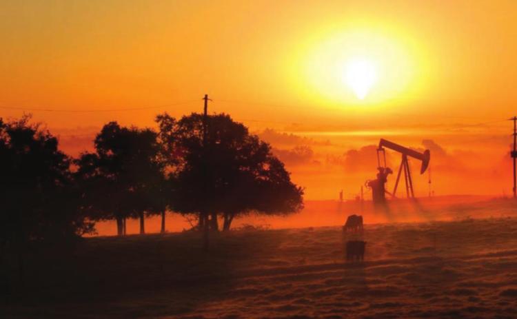 ENERGY WATCH
