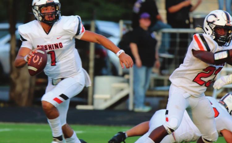 Tiger Quarterback Blaze Berlowitz rolls out in search of an open receiver. He threw for 399 yards.