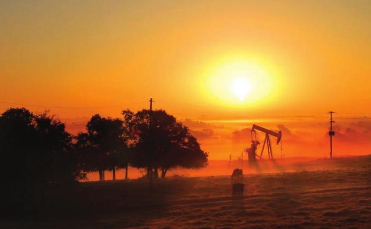 ENERGY WATCH