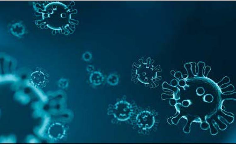 Coronavirus 101