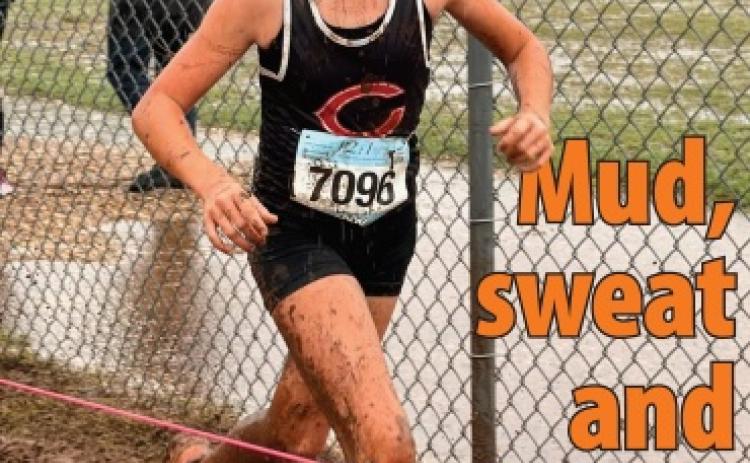 Mud, sweat and Tiger Blood