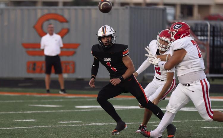 Roman Tucker rushed for 92 yards and two touchdowns Friday. Photo by Sylvia Danyele