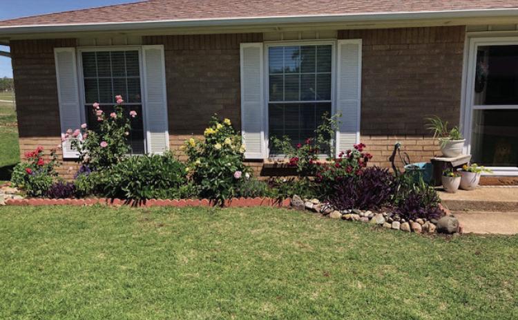 The yard of Tammy and Bryan Linderman.